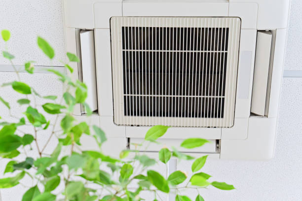 Best HVAC Maintenance and Cleaning  in Thorndale, TX